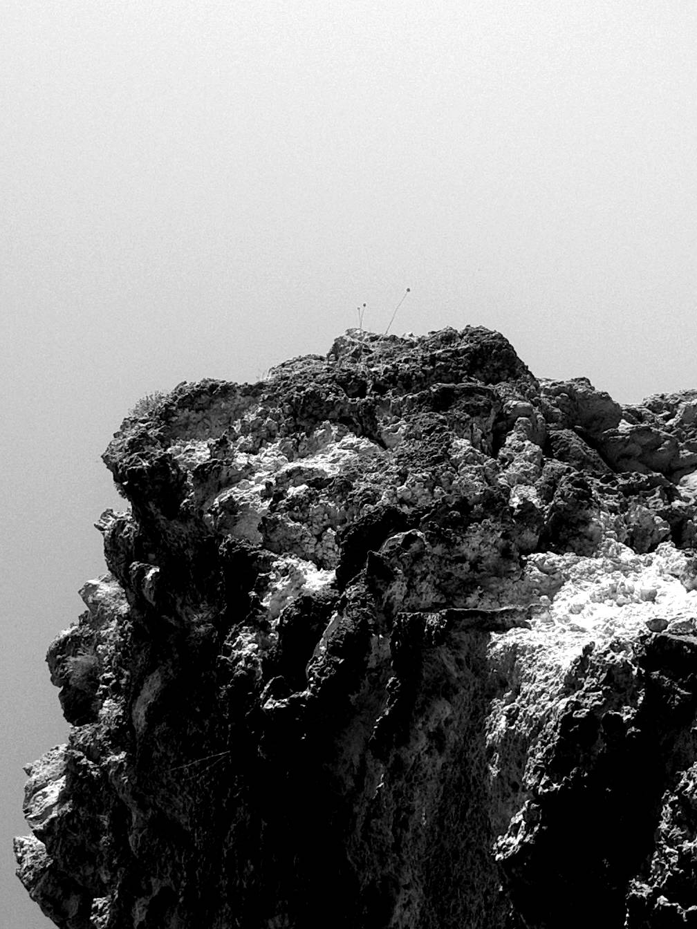 a black and white high contrast image of a pitted, coarse, pocked and jagged cliff