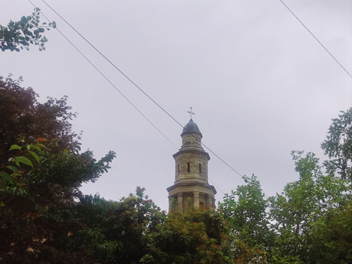 A church top, sticking out of some tree foliage